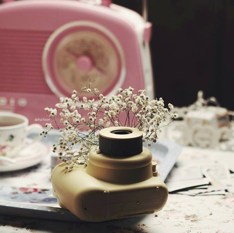 ���� ���� ������ �� ���� ������