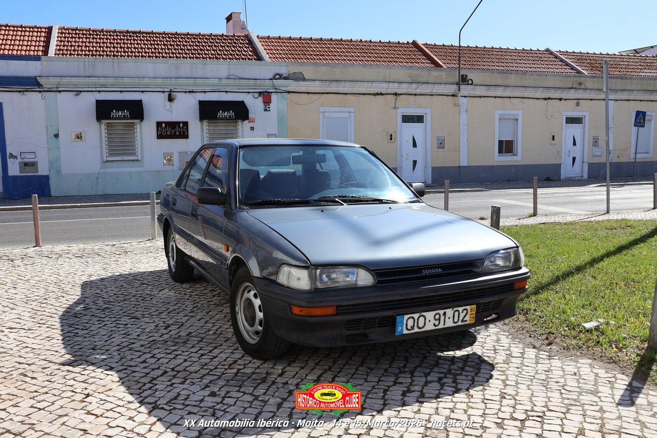 IMG 6021