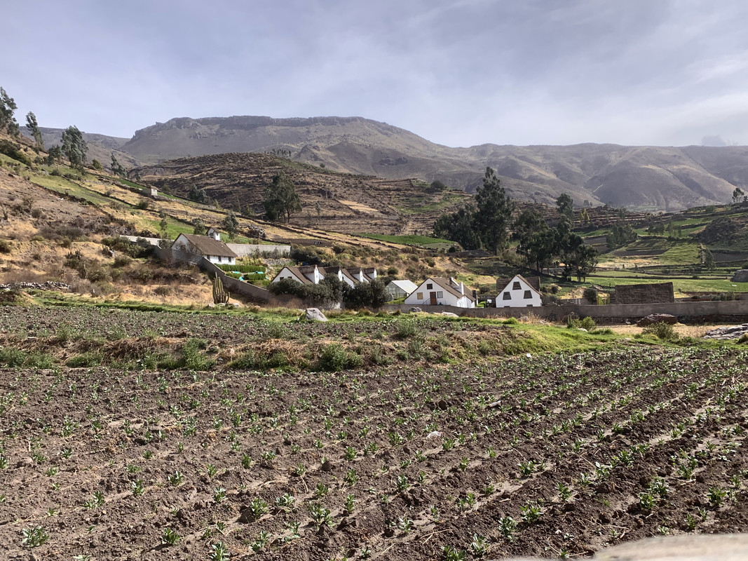 C0B49320-4F74-4FCF-A055-BD55B9F8935F