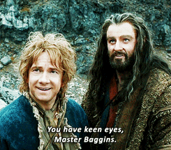 you have keen eyes master baggins