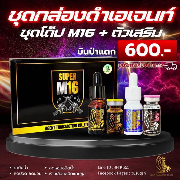 ชุดกล่องดำเอเจนท์