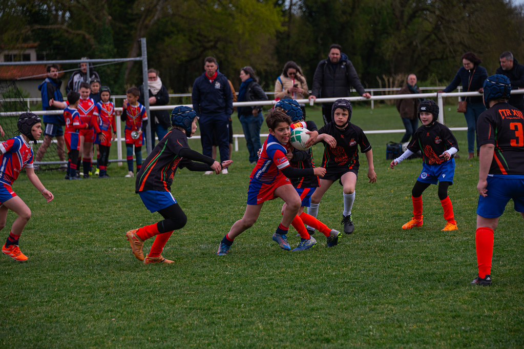 tournoi-de-latlantique-2026-adonis-griffon-218-55181261546-l