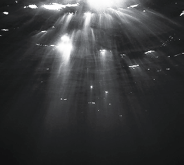 tumblr_9a2fb946528f84688c7ef5d0b278c926_62efa11d_400