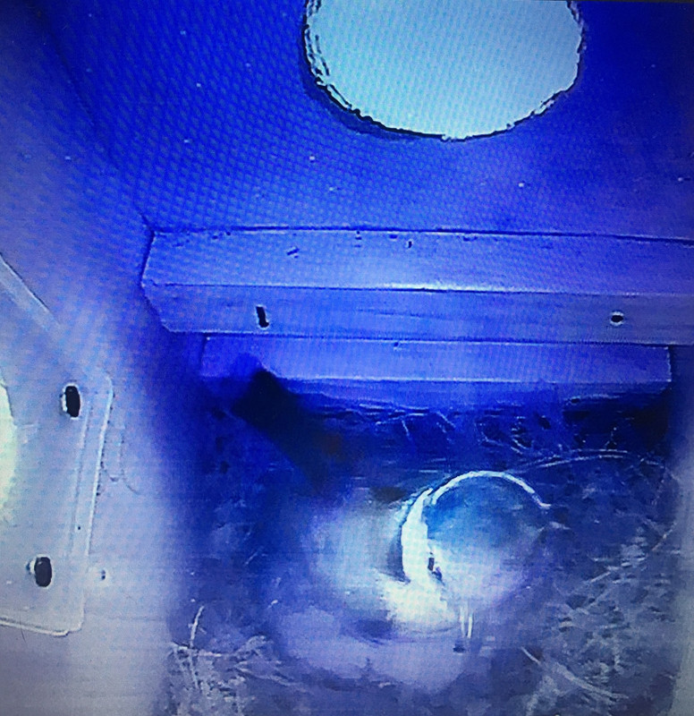 E4146219-48DD-4704-A7A3-7EEACFC7FD3B