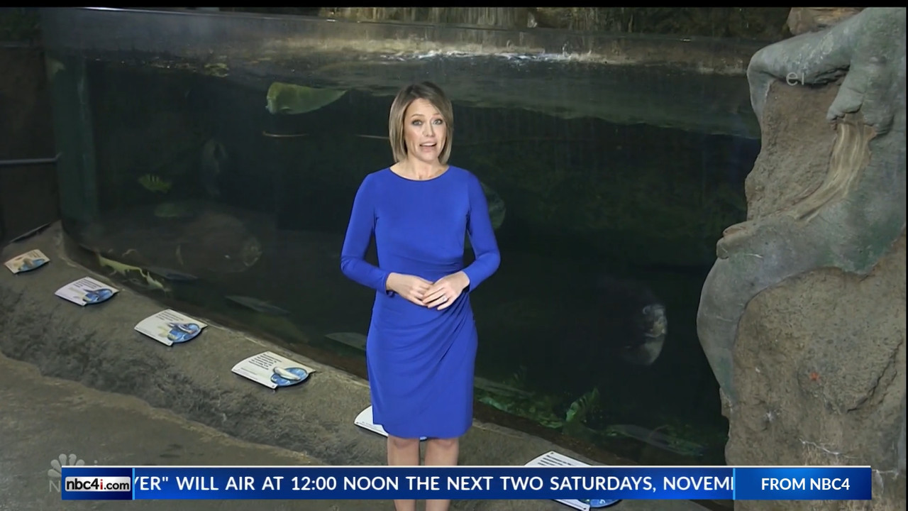 11.07 - 15.00.00 - Earth Odyssey With Dylan Dreyer. The world's smart....ts_snapshot_00.25.07.286