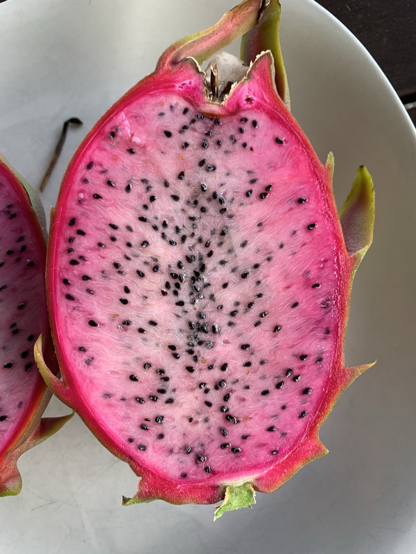 B02DBD38-B0EB-4D81-932A-ACC647289C99