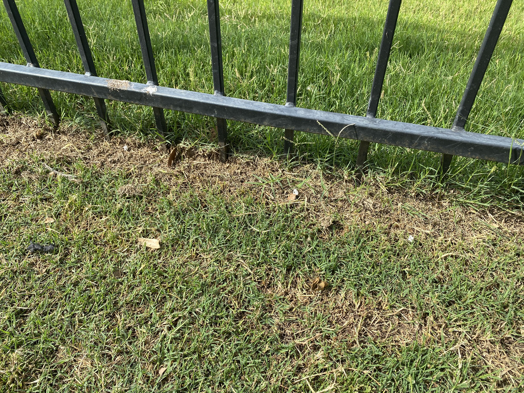 C091998D-DC4E-49CF-B760-B9C515F6C980