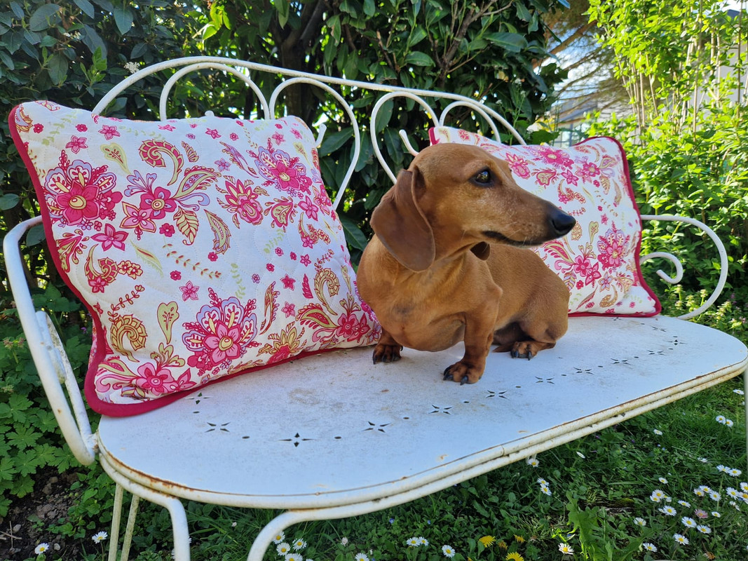 [Image: IMG-20240501-WA0033.jpg]