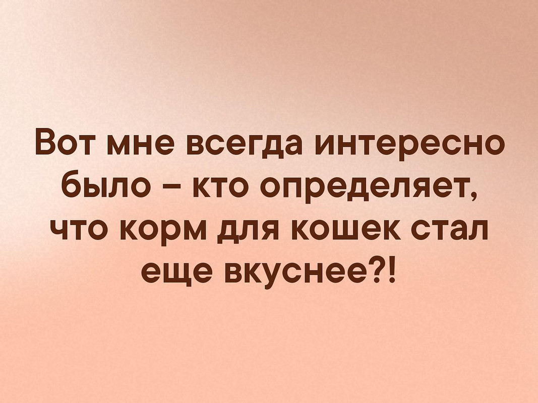 Вот мне всегда интересно было... Корм для кошек