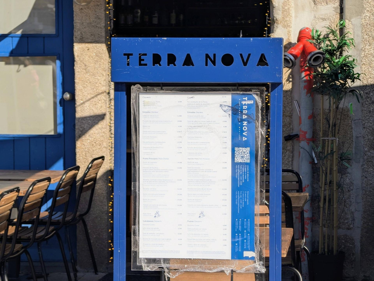 644186008 25585583461141283 3007455528910922464 n