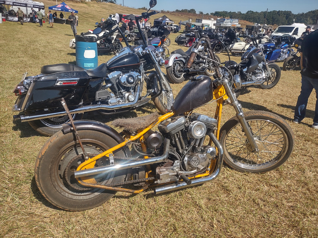 IMG_20241019_122556921_HDR
