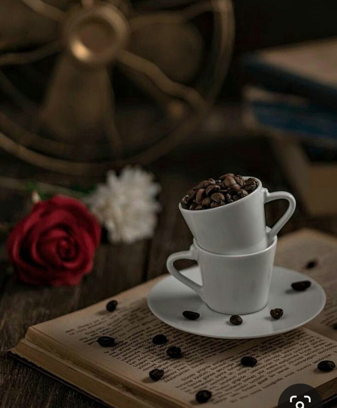 Screenshot_20240203_202423_Pinterest