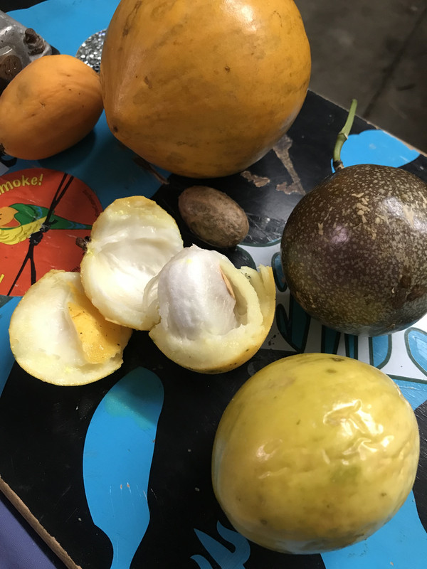 A3CD6301-D01D-4559-96C2-0026D8E49B16