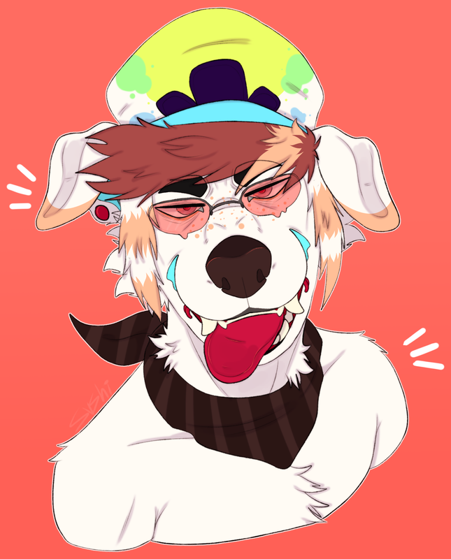 53070237_Lfp5JlF7CP0oPKI