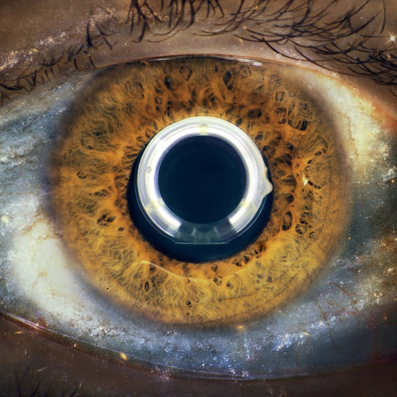 I Cani - Aurora (2016) .Mp3 -320 Kbps