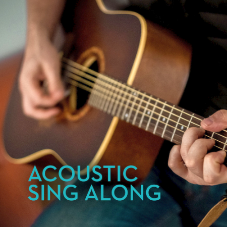 VA - Acoustic Sing Along (2020)