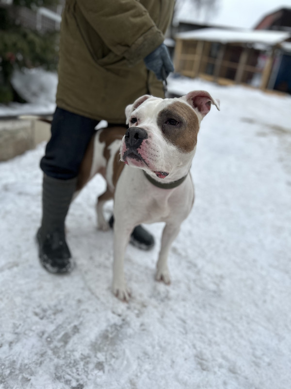 8568CA9B-63C6-4385-803E-CCEFD0F2AB16