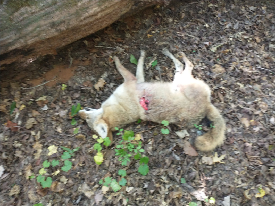 IMG_20220929_102653983