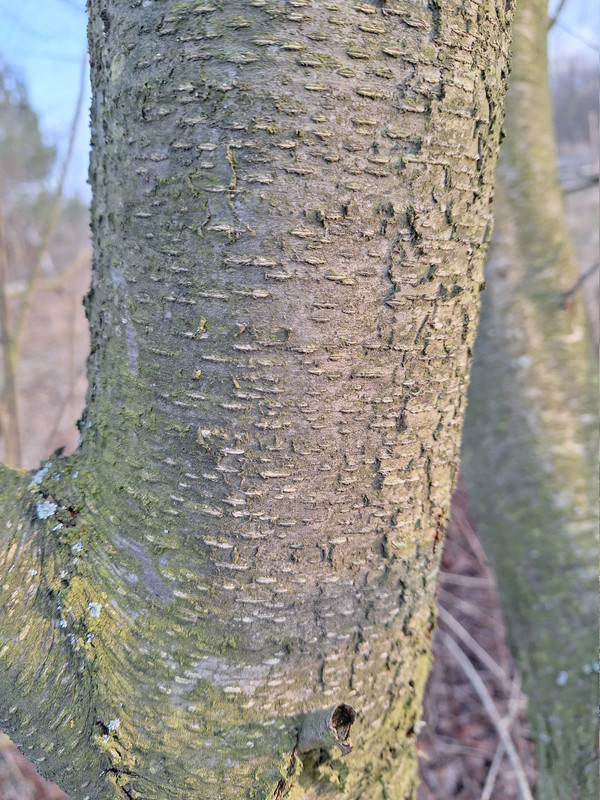 2025 12 14T14 19 20 01 00