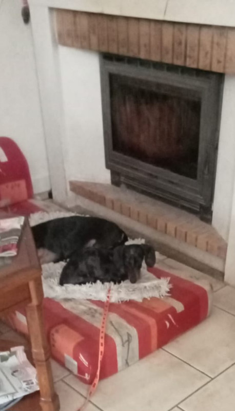 [Image: IMG-20240126-WA0003.jpg]