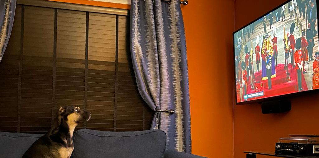 B9232359-B292-4374-9BA8-976F0C601F07