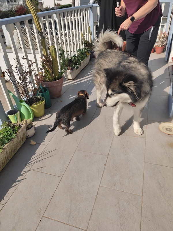 [Image: IMG-20220322-134252.jpg]