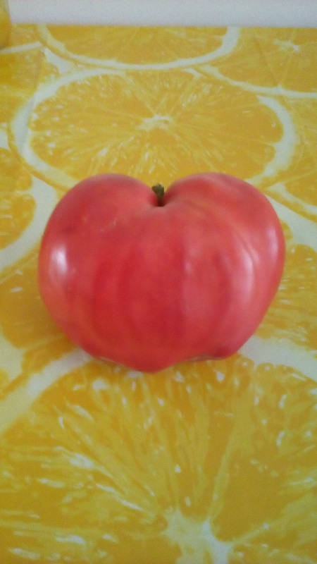 20180728_101847