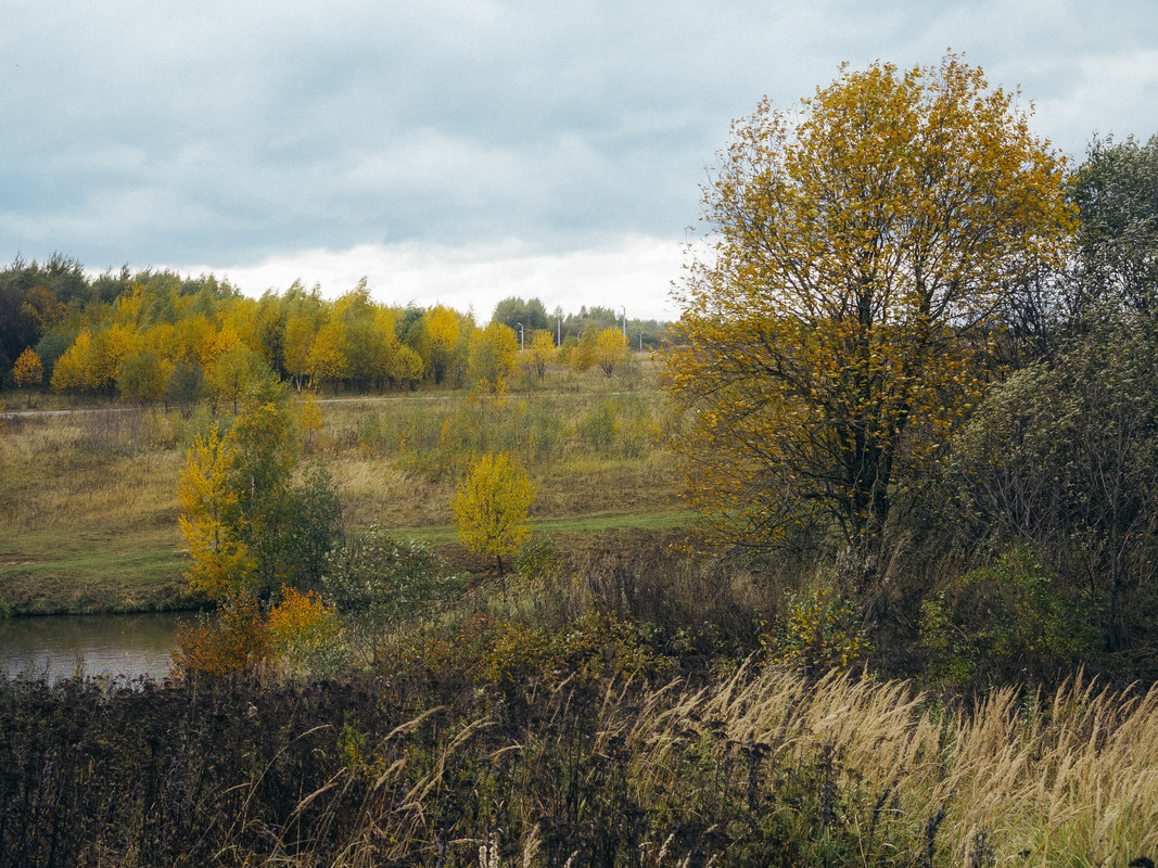 0021 2022 10 04 G1x IMG 5475 — Postimages