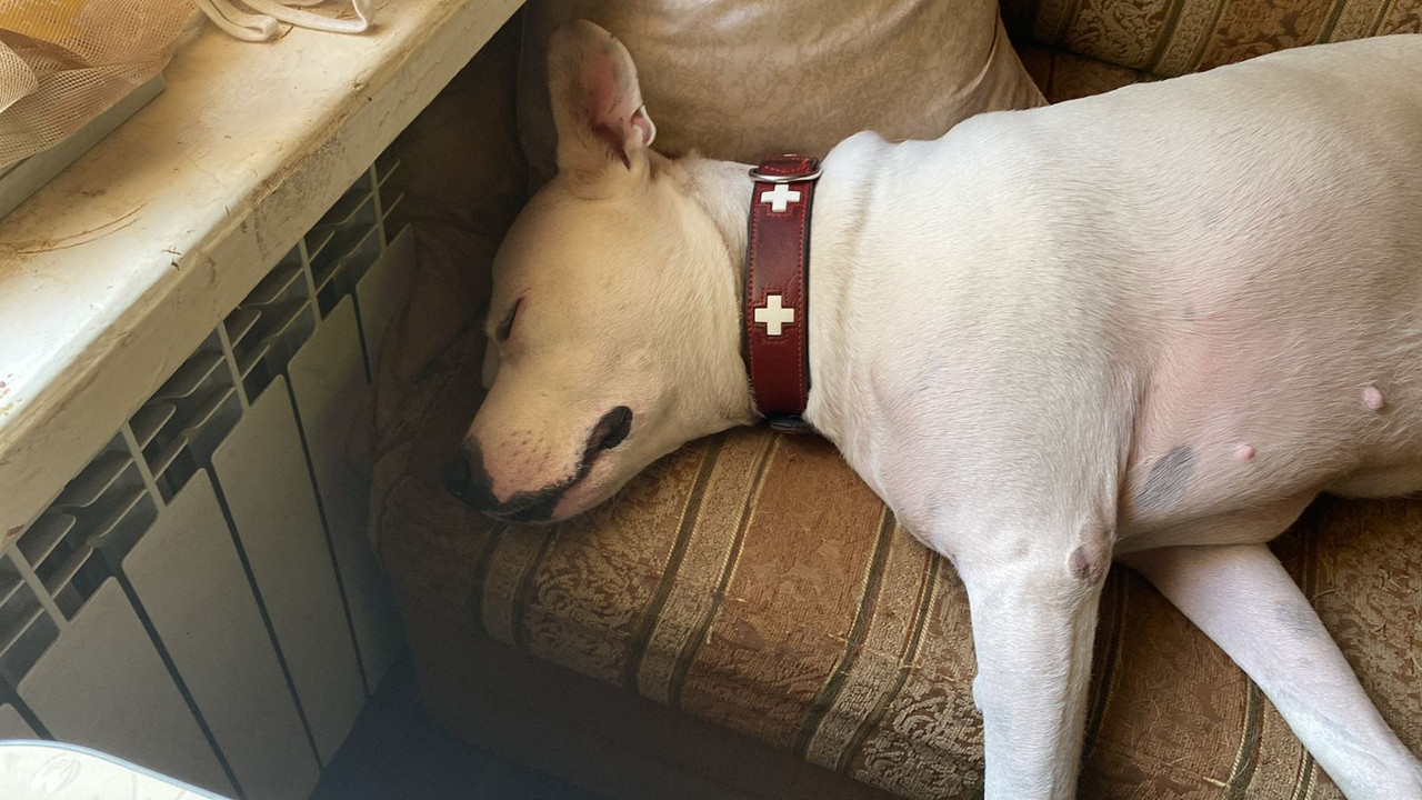 028FCDCE-4E5A-49E1-82E5-265CDEA37DDD