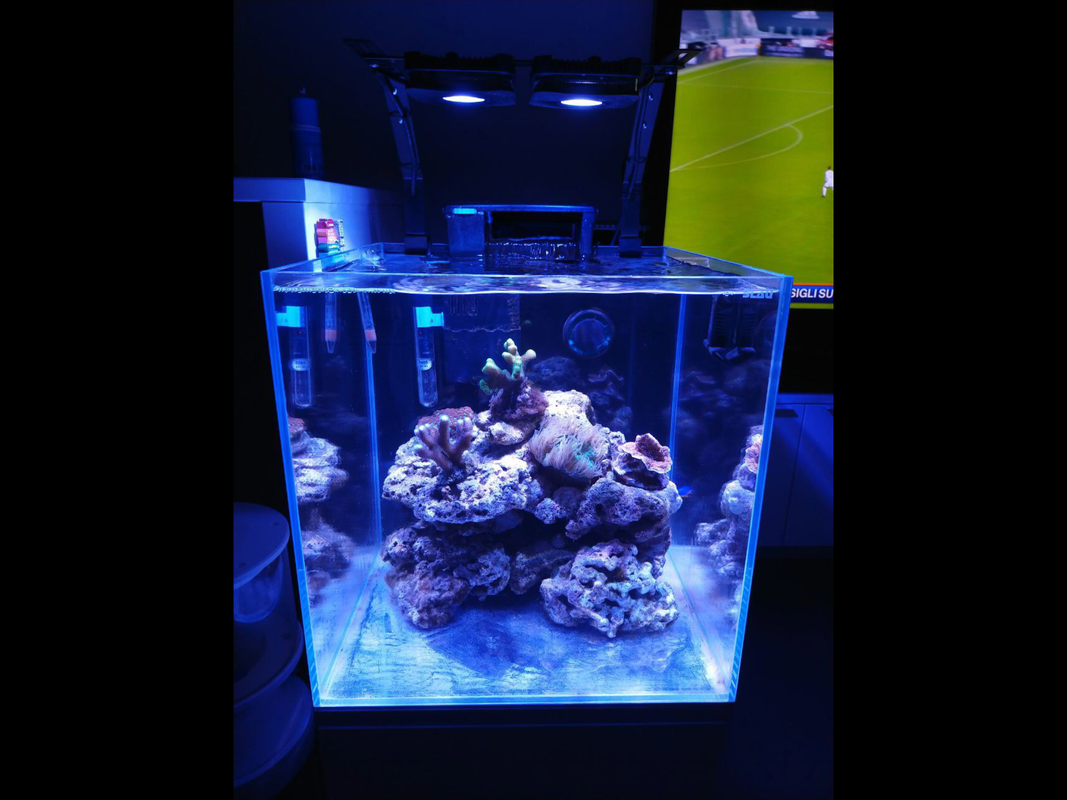 07B2A86F-E482-4EB3-8669-B91FFDBBFF9E