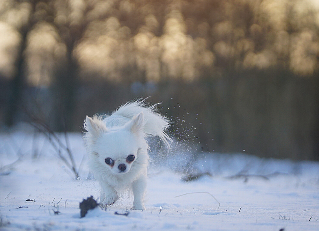 Lumii_20210210_090926542