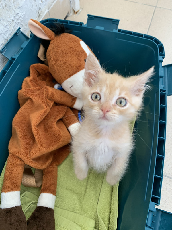 EA856DE7-3BAC-4B24-9FE6-17A88E53F503