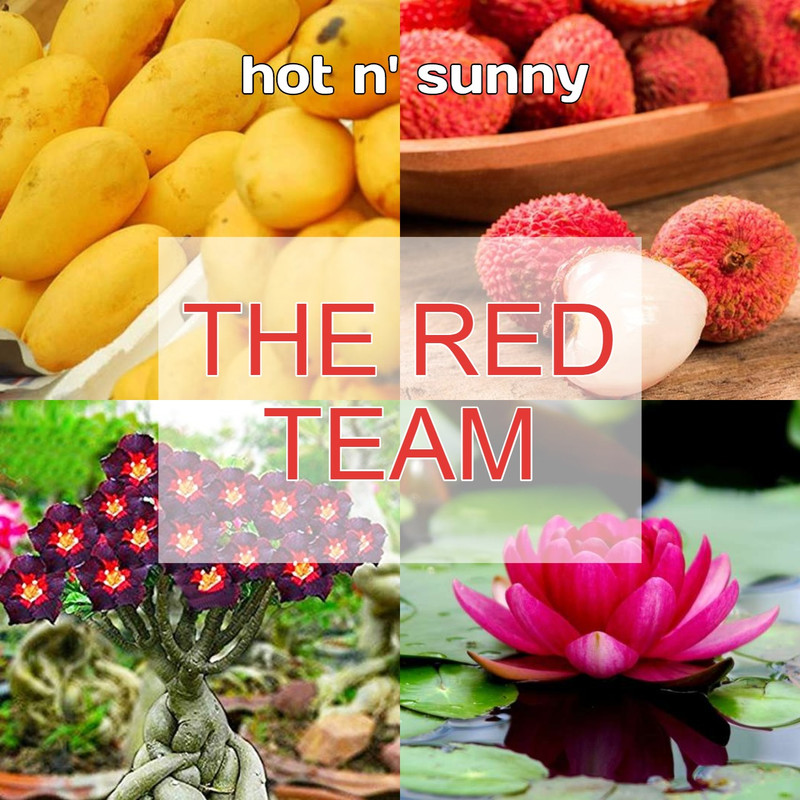 red-colored-plants.jpg