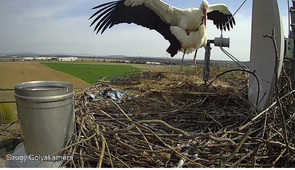 2022-04-30_100829párzás