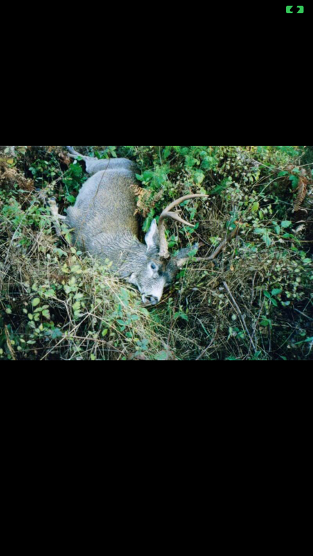 6723ADF0-9BD9-4C6C-B1CA-A7F709F4B72F