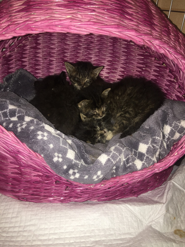 C668D9EC-22DF-4B31-9EF7-EDE2F2910753