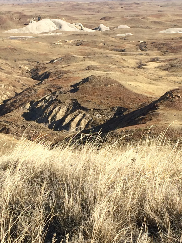 E53779DA-888F-49B1-9BD1-FC2E3245E2F6