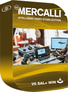 proDAD Mercalli V6 SAL 6.0.624.2 (x64) Multilingual Portable