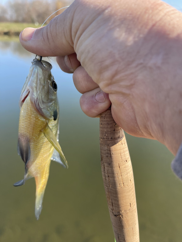 CAB17137-310D-451B-A6E8-C1FB91043EF9