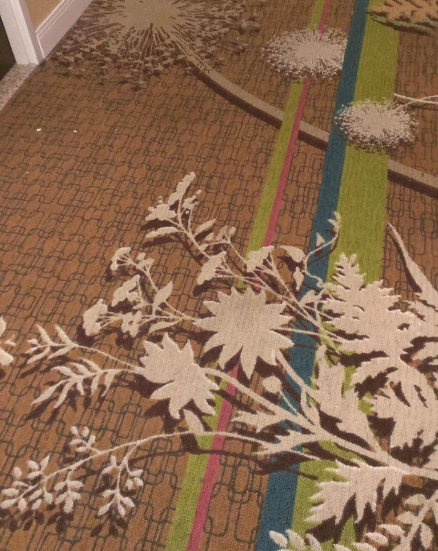 18 случаев, когда владельцы отелей удивили креативностью