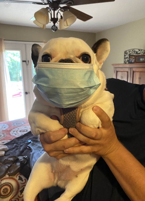 D9F31DBB-A884-4D80-A20D-8B67FD24E4FE