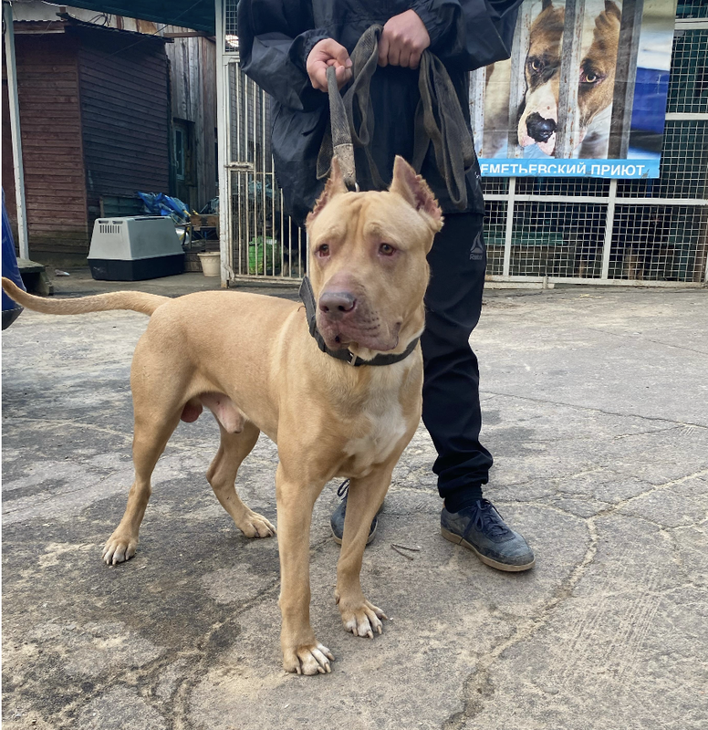 Снимок экрана 2025-03-31 в 13.28.55