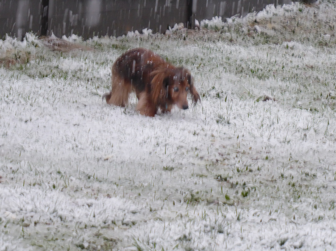 [Image: P1010896.jpg]