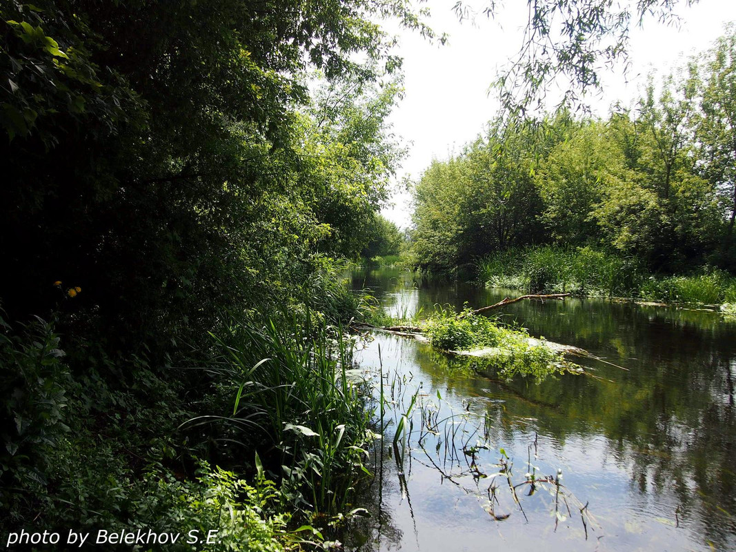 Дивногорье Дивногорье