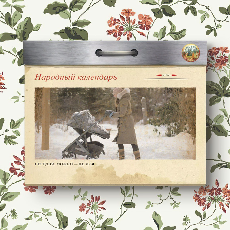 [Изображение: izobrazenie-viber-2026-02-14-05-51-15-723.jpg]