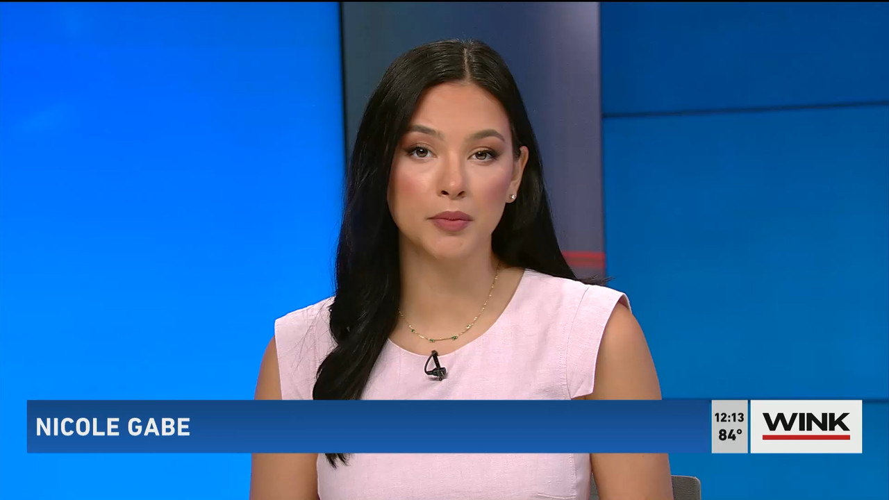05.03 - 17.00.00 - The WINK Noon News  ᴺᵉʷ. Midday news update..ts_snapshot_20.12.973