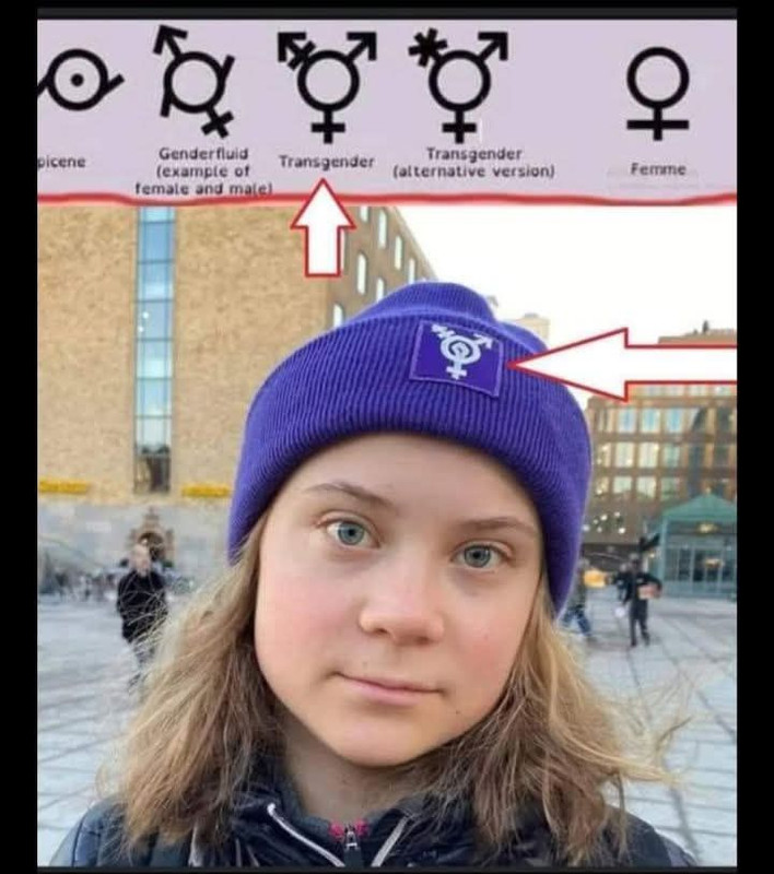 greta-trans-yt56g4ryjr.jpg