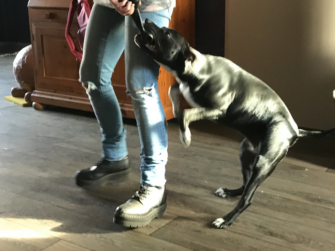 4D9ED5E7-F5A0-4E8E-AF6B-C629685F5894