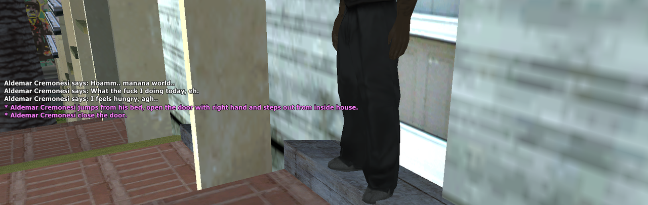 SS1.png
