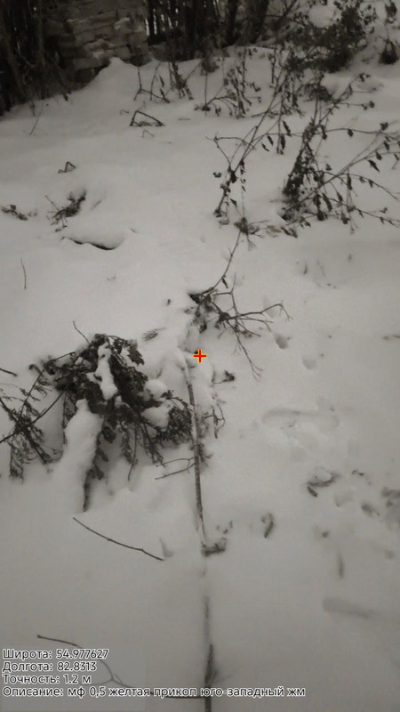 photo 7 2025 11 23 18 31 59